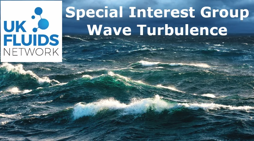 UK Fluids Network Wave Turbulence SIG